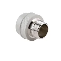 Муфта PPR Thermo Alliance 63х2" ЗР