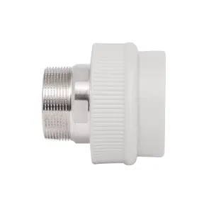 Муфта PPR Thermo Alliance 63х2" ЗР №4