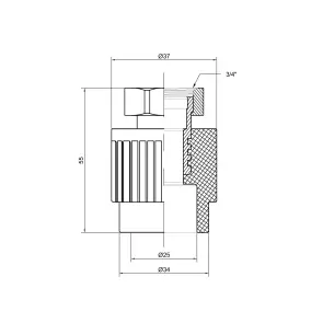 Муфта PPR Thermo Alliance з накидною гайкою 25х3/4" №2