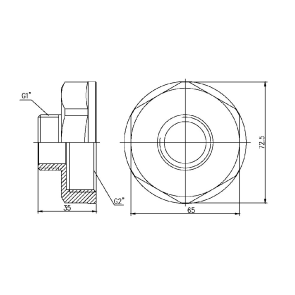 Перехід Thermo Alliance Forte 2"х1" ВЗ SF3605025 №2