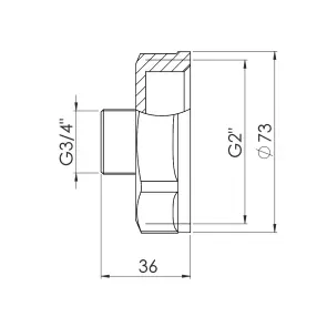 Перехід Thermo Alliance Forte 2"х3/4" ВЗ SF3605020 №2