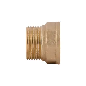 Перехідник Thermo Alliance Standart 3/4"х3/4" ВЗ SD4092020 №10