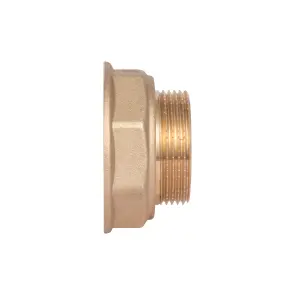 Перехідник Thermo Alliance Standart 2"х1 1/2" ВЗ SD4095040 №3