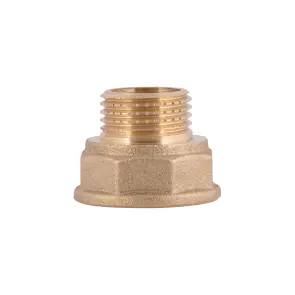 Перехідник Thermo Alliance Standart 3/4"х1/2" ВЗ SD4091520 №4