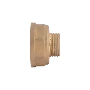 Переходник Thermo Alliance Standart 1 1/2"х3/4" ВЗ SD4094020 №2
