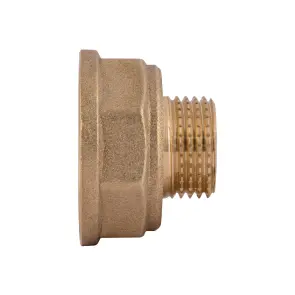 Перехідник Thermo Alliance Standart 1"х1/2" ВЗ SD4092515 №2