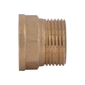 Перехідник Thermo Alliance Standart 1"х1" ВЗ SD4092525 №9