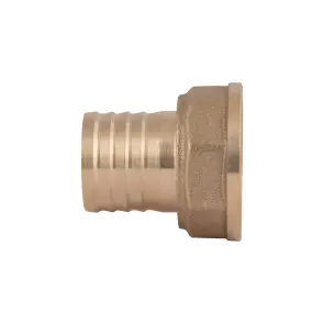 Штуцер Thermo Alliance Standart 25х1" ВР SD4262525 №9