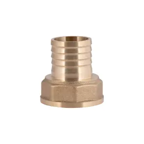 Штуцер Thermo Alliance Standart 25х1" ВР SD4262525 №10