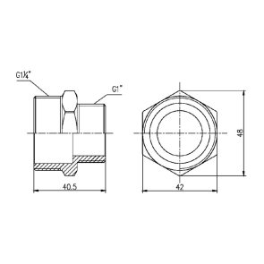 Ниппель редукционный Thermo Alliance Forte 1 1/4х1" SF3593225 №2