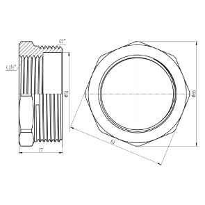 Футорка Thermo Alliance Forte 2"х1" 1/2 ЗВ SF3745040 №2