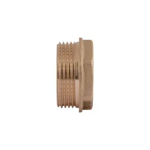 Футорка Thermo Alliance Standart 1 1/4"х1" ЗВ SD4233225 №2