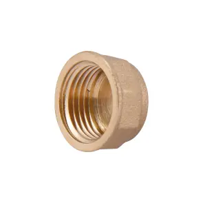 Заглушка Thermo Alliance Standart 1/2" ВР SD40215 №1