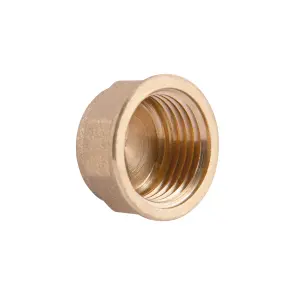 Заглушка Thermo Alliance Standart 1/2" ВР SD40215 №2