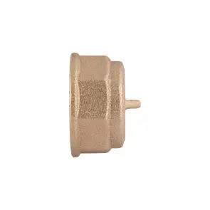 Заглушка Thermo Alliance Standart 1/2" ВР SD40215 №6