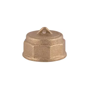 Заглушка Thermo Alliance Standart 1/2" ВР SD40215 №10