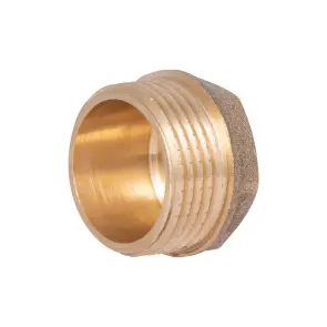 Заглушка Thermo Alliance Standart 1" ЗР SD40325 №1