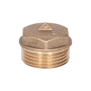 Заглушка Thermo Alliance Standart 1" ЗР SD40325 №7