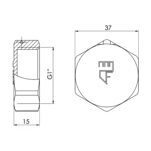 Заглушка Thermo Alliance Forte 1" ВР SF35225 №2