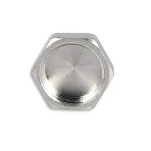 Заглушка Thermo Alliance Forte 1/2" ВР SF35215 №5