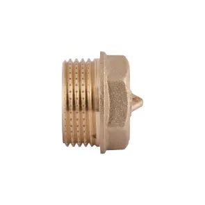 Заглушка Thermo Alliance Standart 3/4" ЗР SD40320 №7