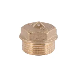 Заглушка Thermo Alliance Standart 3/4" ЗР SD40320 №9