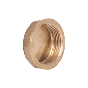 Заглушка Thermo Alliance Standart 1 1/2" ВР SD40240 №3