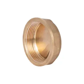 Заглушка Thermo Alliance Standart 1 1/2" ВР SD40240 №4
