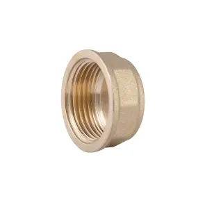 Заглушка Thermo Alliance Standart 3/4" ВР SD40220 №1