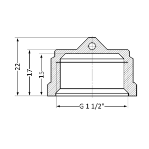 Заглушка Thermo Alliance Standart 1 1/2" ВР SD40240 №6