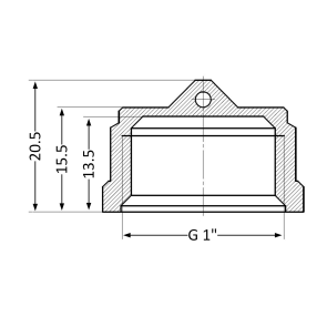 Заглушка Thermo Alliance Standart 1" ВР SD40225 №5