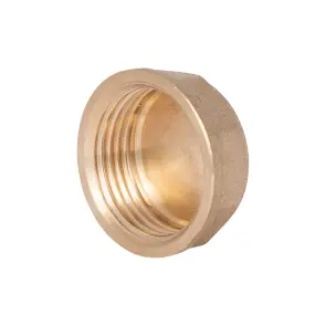Заглушка Thermo Alliance Standart 1" ВР SD40225 №1