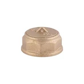 Заглушка Thermo Alliance Standart 3/4" ВР SD40220 №4