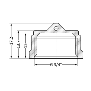 Заглушка Thermo Alliance Standart 3/4" ВР SD40220 №5