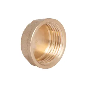 Заглушка Thermo Alliance Standart 1" ВР SD40225 №2