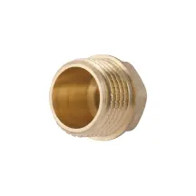 Заглушка Thermo Alliance Standart 1/2" ЗР SD40315