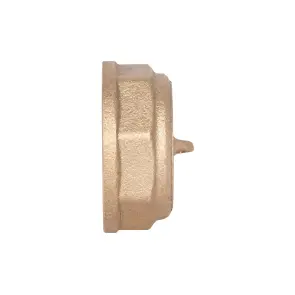 Заглушка Thermo Alliance Standart 1" ВР SD40225 №3