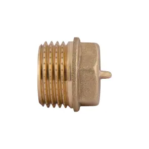 Заглушка Thermo Alliance Standart 1/2" ЗР SD40315 №2