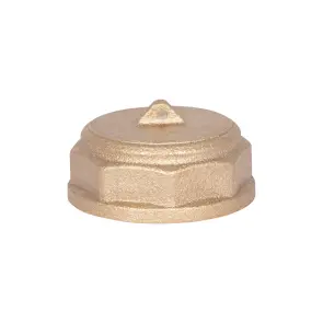 Заглушка Thermo Alliance Standart 1" ВР SD40225 №4
