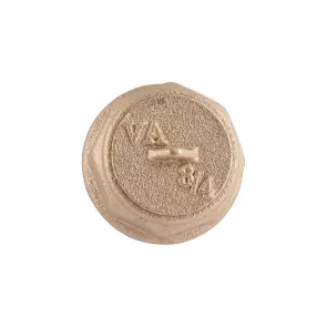 Заглушка Thermo Alliance Standart 3/4" ВР SD40220 №10
