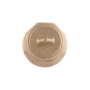 Заглушка Thermo Alliance Standart 1/2" ЗР SD40315 №4