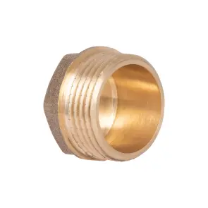 Заглушка Thermo Alliance Standart 1" ЗР SD40325 №13