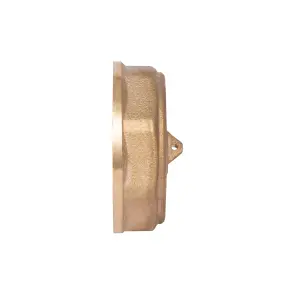 Заглушка Thermo Alliance Standart 1 1/2" ВР SD40240 №13