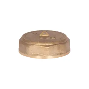 Заглушка Thermo Alliance Standart 1 1/2" ВР SD40240 №15