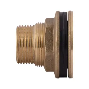 Врезка Thermo Alliance Standart 3/4" в бак SD40020 №11