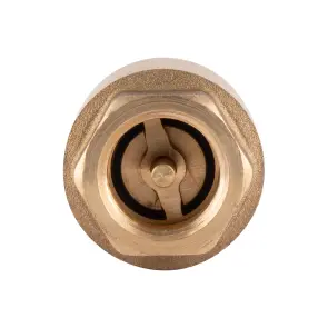 Зворотний клапан Icma з латунним штоком 1/2" №53 №3