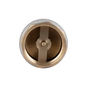 Зворотний клапан Thermo Alliance Standart 1 1/4"ВВ із латунним штоком TAS240W32 №9