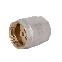Обратный клапан Thermo Alliance Standart 2"ВВ с латунным штоком TAS240W50