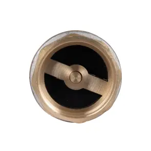 Зворотний клапан Thermo Alliance Standart 1 1/2"ВВ із латунним штоком TAS240W40 №16