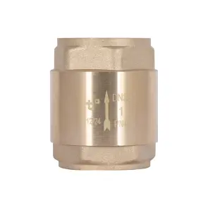 Зворотний клапан Thermo Alliance Base 1"ВВ Slim із латунним штоком TAB240W25S №9